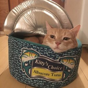 Tuna can cat bed